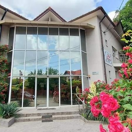 Villa Grande Iasi Exteriör bild