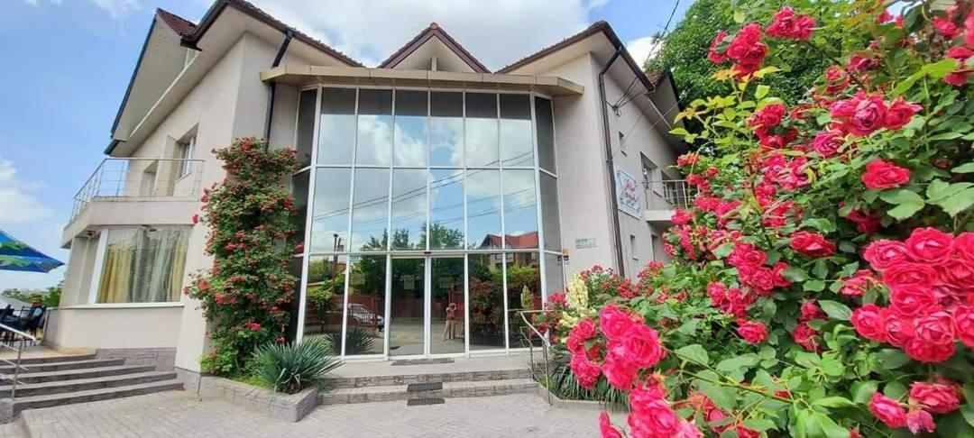 Villa Grande Iasi Exteriör bild